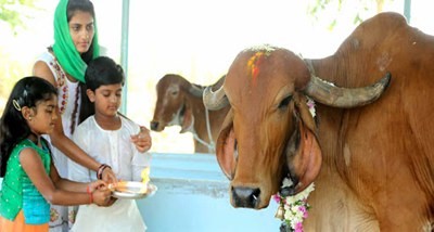 कनुमा त्योहार: तेलंगाना