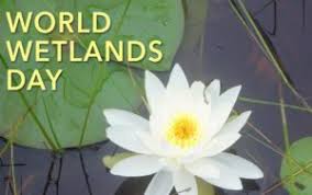 विश्व आर्द्रभूमि (वेटलैंड्स) दिवस : 2 फरवरी