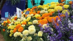 कर्नाटक में की जाएगी फूल प्रसंस्करण केंद्र की स्थापना