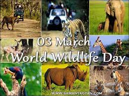 विश्व वन्यजीव दिवस: 03 मार्च